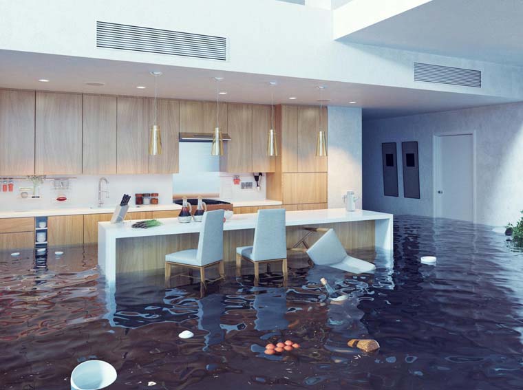 Water Mitigation of Floodbuildback.com